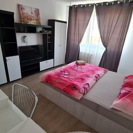 Garsoniera 30mp ChrysFlatty 1 - FREE NETFLIX Lägenhet Arad Exteriör bild