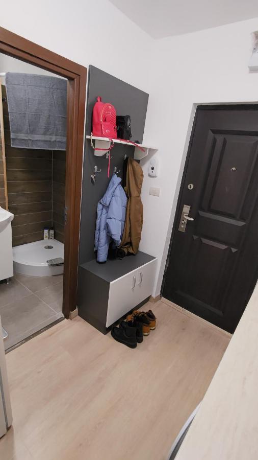 Garsoniera 30mp ChrysFlatty 1 - FREE NETFLIX Lägenhet Arad Exteriör bild