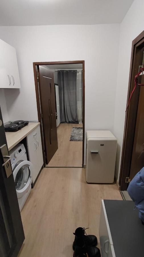 Garsoniera 30mp ChrysFlatty 1 - FREE NETFLIX Lägenhet Arad Exteriör bild