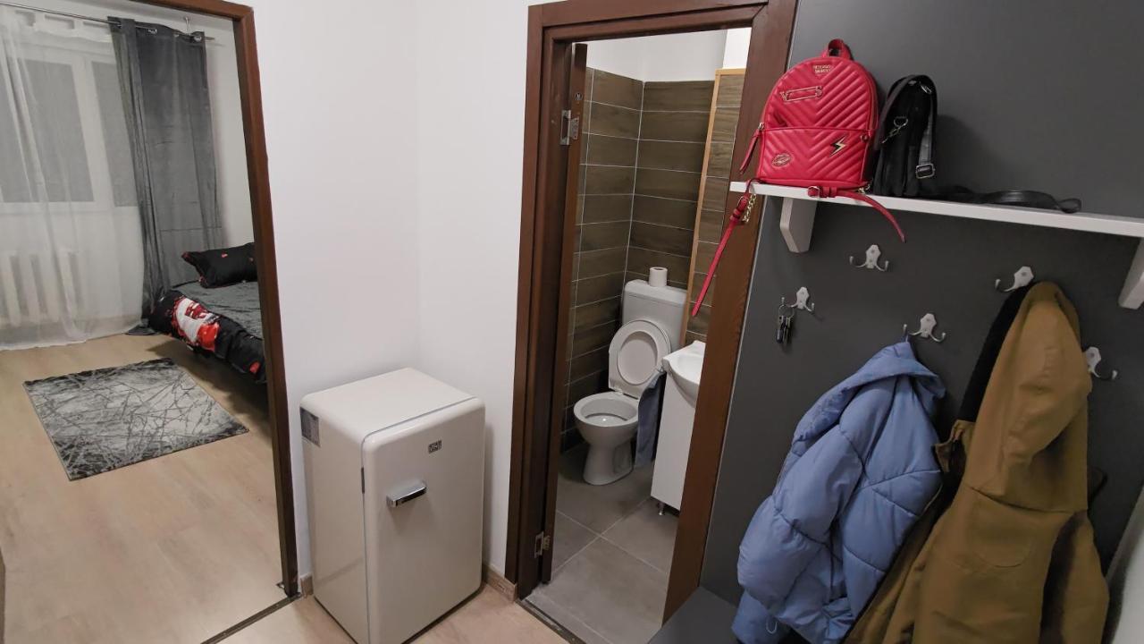Garsoniera 30mp ChrysFlatty 1 - FREE NETFLIX Lägenhet Arad Exteriör bild